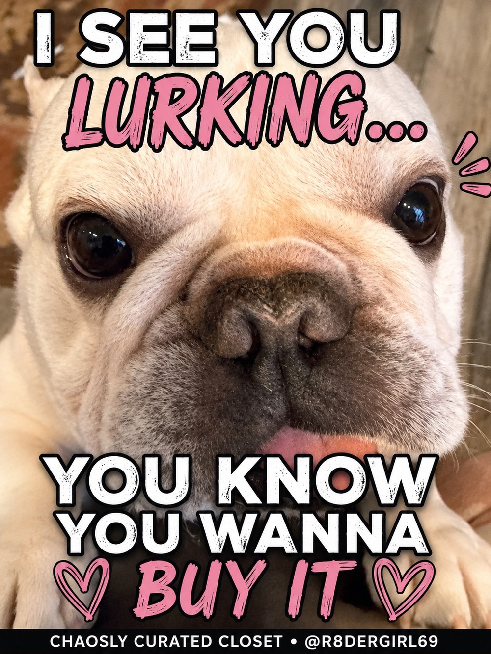 🐾 Meet Brutus | Chaosly Curated Closet Mascot French Bulldog Meme Listing